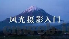 足球比分后面P字母-足球比分背后的P字母，揭秘那些不为人知的赛事密码