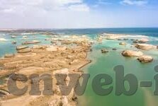 足球比分捷报电脑版-足球比分捷报电脑版，球迷的实时信息利器与观赛体验升级指南